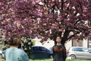 Ужгород встановив туристичний рекорд через цвітіння сакури