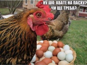 – Do you speak паску? – Yes i speak!, – або як закарпатці жартуючи до свят готуються
