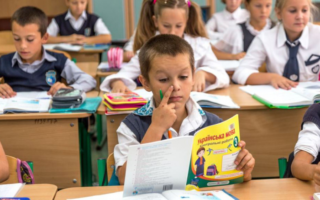 Як на Закарпатті виконувалась Програма поліпшення вивчення української мови у школах з навчанням мовами нацменшин?