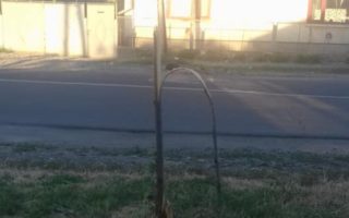 У Мукачеві вандали поламали дерева на алеї (фото)