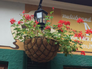 Чим ужгородці прикрашають свої балкони?