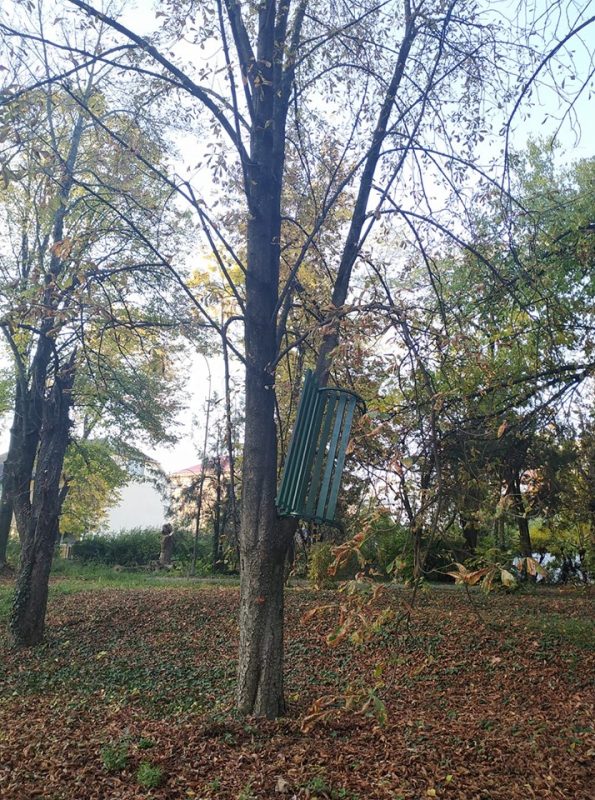 Вандалізм в Ужгороді! Виривають лавки та закидають на дерева (фото)