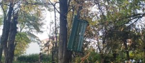 Вандалізм в Ужгороді! Виривають лавки та закидають на дерева (фото)