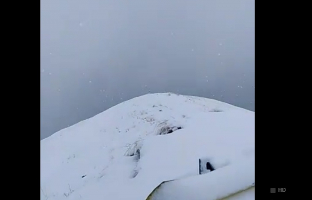 Карпати засипало снігом (фото, відео)