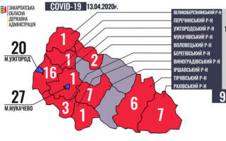 Карта поширення коронавірусу Закарпаттям