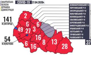 Левова частка діагностованих випадків коронавірусу – в Ужгороді