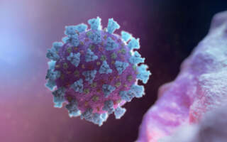 На Закарпатті перший хворий на коронавірус медик: його матір померла від пандемії