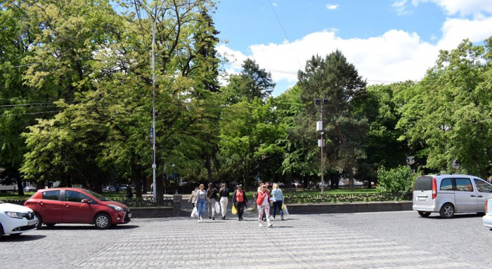 Розпочався капремонт зеленої зони на площі Петефі в Ужгороді