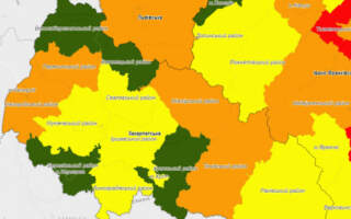 Зелена, жовта, помаранчева: від сьогодні нове епідеміологічне зонування Закарпаття