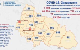 За останню добу в Україні 2438 діагностованих випадків коронавірусної інфекції, на Закарпатті – 77