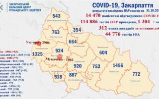 На Закарпатті знову більше 300 випадків підтверджених випадків COVID-19