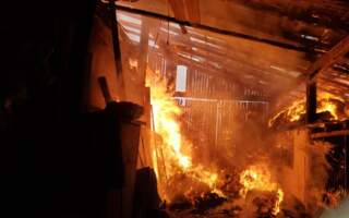 З’явились Фото масштабної пожежі на Мукачівщині