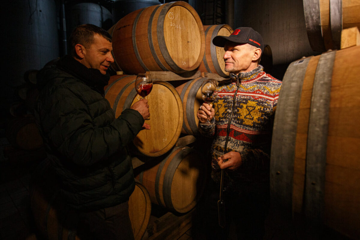 Олег Скрипка провів відпустку на Закарпатті обрізаючи виноградники (ФОТО)