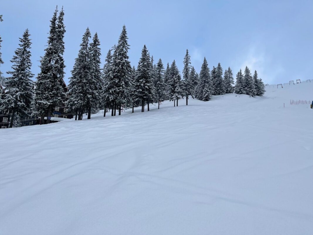 Ще трошки і буде 150-Ий день Зими: Гірські райони засипає снігом (ФОТО)