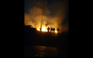 Опублікували відео масштабної нічної пожежі на Закарпатті