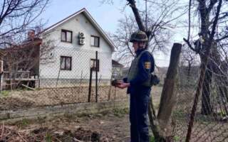 На Ужгородщині за добу піротехніки знищили дві мінометні міни