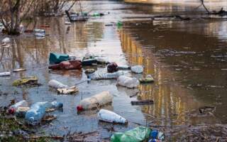 На Закарпатті на узбережжях прикордонних річок знайшли десятки незаконних смітників