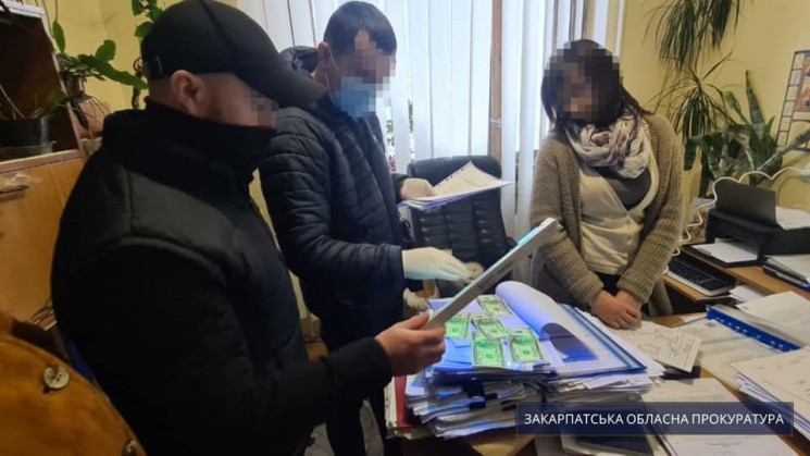 500 доларів хабара за дозвільні документи: Закарпатську чиновницю взяли на гарячому (ФОТО)