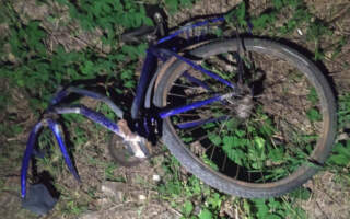 П’яна ДТП: на Закарпатті водій збив велосипедиста та втік з місця події (ФОТО)