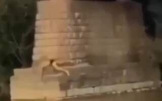 Трагедія на Закарпатті: Хлопець стрибав з моста у воду, але впав на бетонну опору (ВІДЕО 18+)