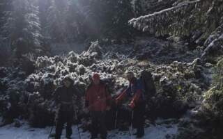 Озвучили причини чому призупинили пошуки зниклої туристки у горах на Закарпатті