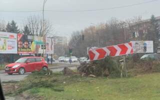 ДТП в Ужгороді: Біля “П’яного базару” автівка влетіла у клумбу (ФОТО. ВІДЕО)