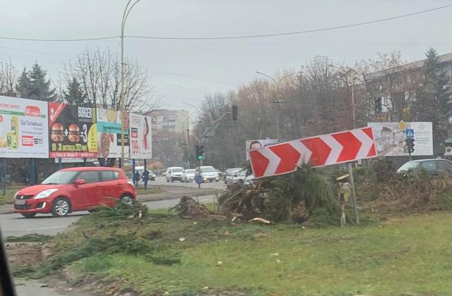 ДТП в Ужгороді: Біля "П’яного базару" автівка влетіла у клумбу (ФОТО. ВІДЕО)