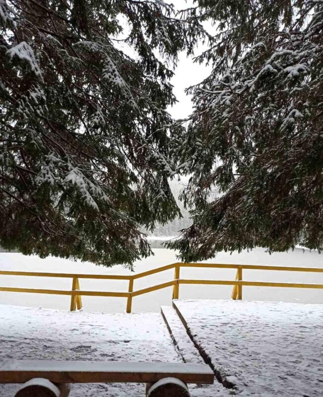 Зима прийшла на Закарпаття (ФОТО)