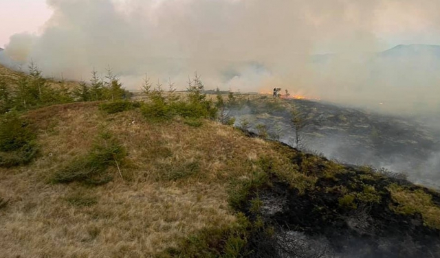 ФОТО наслідків масштабної пожежі на Рахівщині