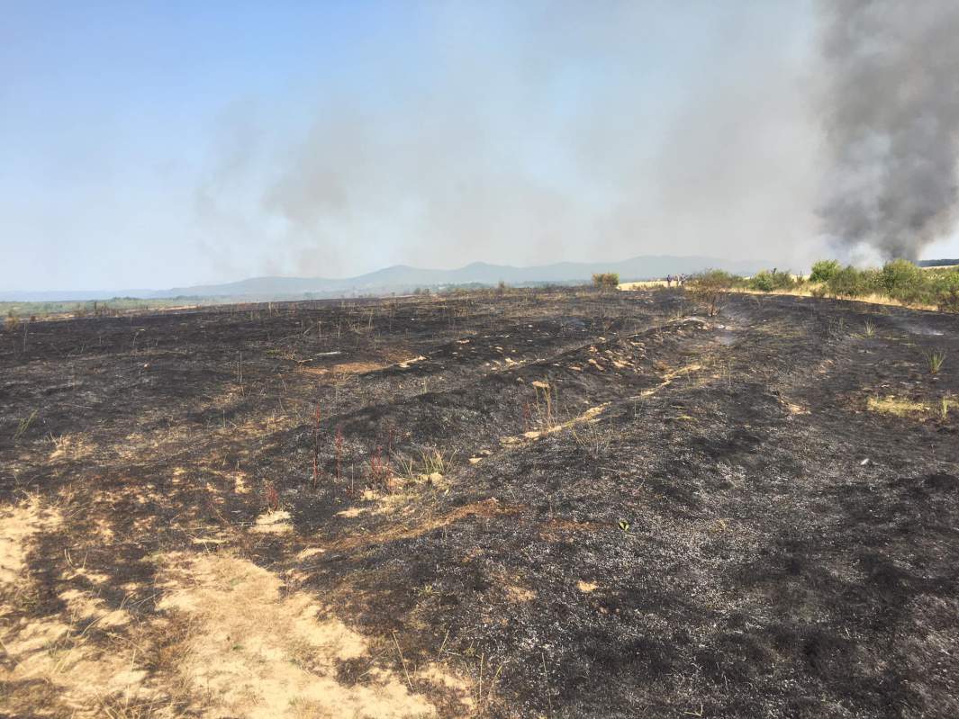Моє село у вогні через покидьків, - на Закарпатті масштабна пожежа (ФОТО)