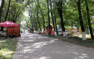 В Ужгороді до Боздоського парку запустять новий автобусний маршрут (ВІДЕО)
