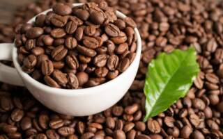 Ефіопія чи Колумбія: вибір ідеальної кави для справжніх поціновувачів смаку та аромату