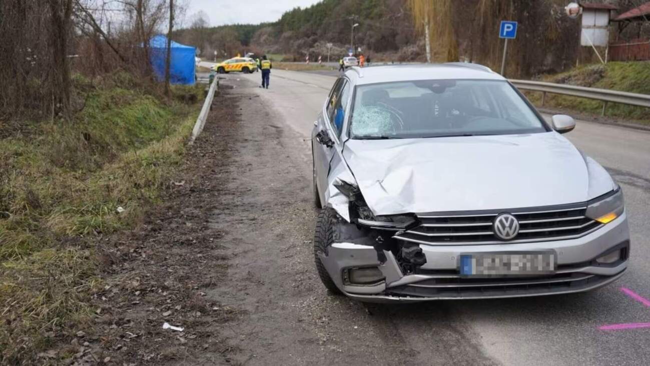 На смерть збив жінку з трирічною дитиною: В Угорщині загинули мати та донька із Закарпаття (ФОТО. ДЕТАЛІ)