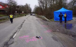 На смерть збив жінку з трирічною дитиною: В Угорщині загинули мати та донька із Закарпаття (ФОТО. ДЕТАЛІ)