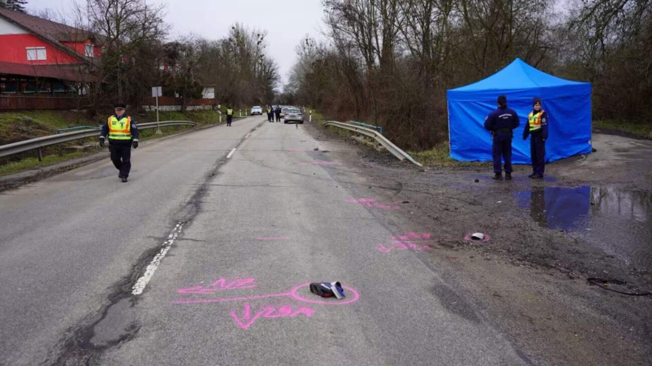 На смерть збив жінку з трирічною дитиною: В Угорщині загинули мати та донька із Закарпаття (ФОТО. ДЕТАЛІ)