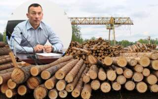 Василь Іванчо прокоментував сплату податків лісопилками Закарпаття