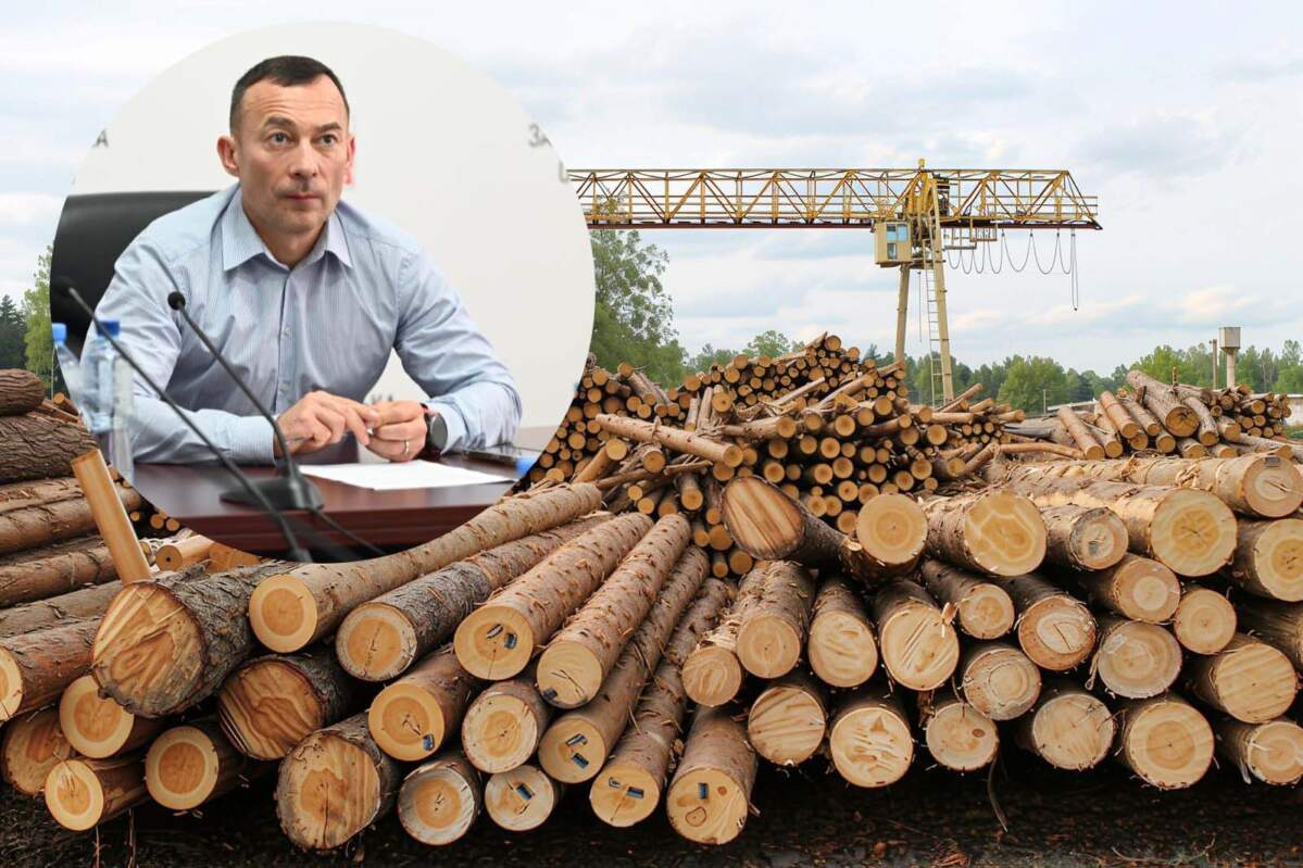 Василь Іванчо прокоментував сплату податків лісопилками Закарпаття